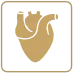 Cardiology