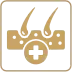 Cardiology